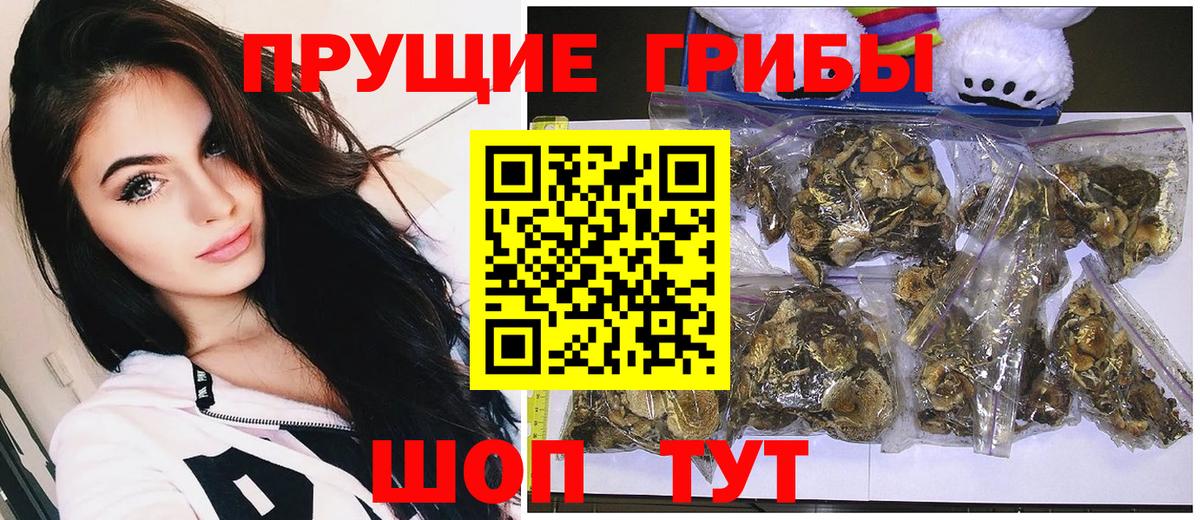Клин  Галлюциногенные грибы мухоморы  Вход с VPN 