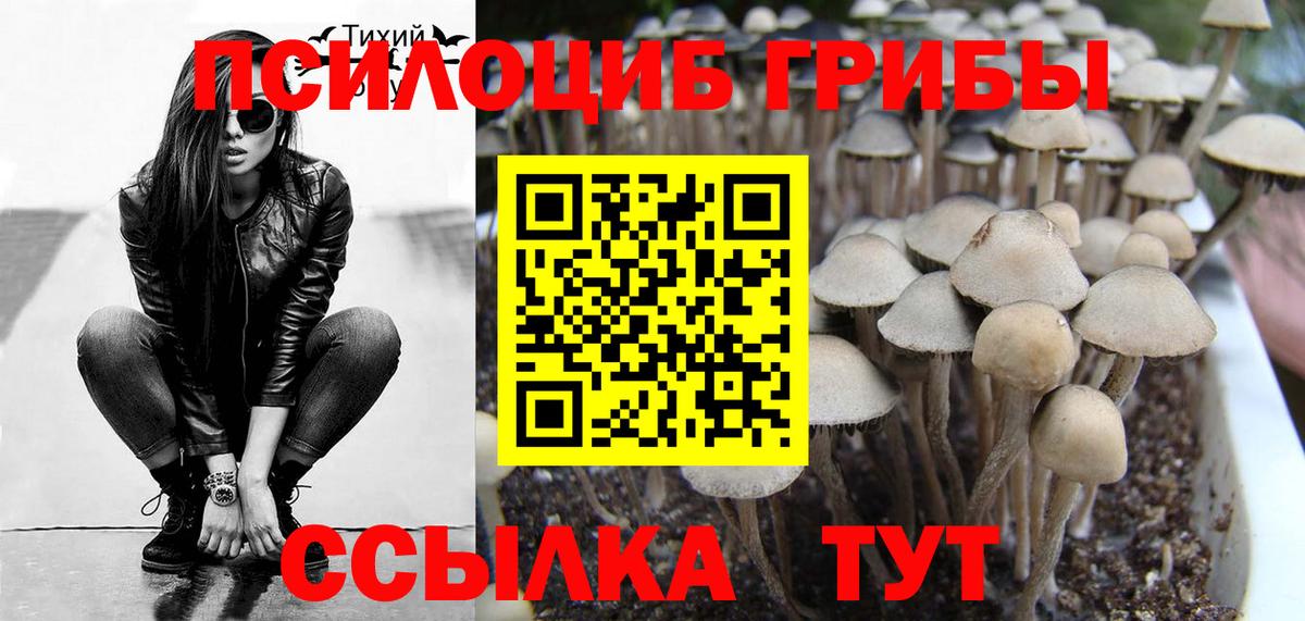 Галлюциногенные грибы Cubensis Клин
